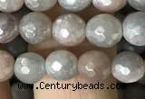 CMS1456 15.5 inches 6mm faceted round AB-color moonstone beads