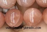 CMS1478 15.5 inches 12mm round moonstone beads wholesale