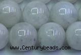 CMS1493 15.5 inches 12mm round white moonstone beads wholesale