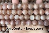 CMS1674 15.5 inches 12mm round moonstone beads wholesale