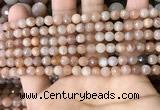 CMS1677 15.5 inches 4mm faceted round moonstone beads wholesale