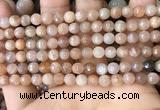 CMS1678 15.5 inches 6mm faceted round moonstone beads wholesale