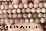 CMS1681 15.5 inches 12mm faceted round moonstone beads wholesale