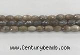 CMS1775 15.5 inches 8*12mm faceted rice AB-color moonstone beads