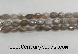 CMS1799 15.5 inches 10*14mm faceted oval AB-color moonstone beads