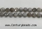 CMS1819 15.5 inches 14mm faceted coin AB-color moonstone beads