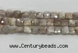 CMS1828 15.5 inches 12*12mm faceted square AB-color moonstone beads