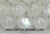 CMS1908 15.5 inches 10mm round white moonstone gemstone beads