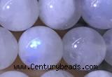 CMS1923 15.5 inches 10mm round white moonstone gemstone beads