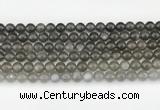 CMS2021 15.5 inches 8mm round black moonstone beads wholesale