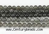 CMS2022 15.5 inches 10mm round black moonstone beads wholesale