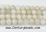 CMS2031 15.5 inches 14mm round white moonstone beads wholesale