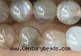 CMS2060 15.5 inches 8mm round moonstone gemstone beads