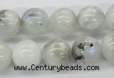 CMS207 15.5 inches 14mm round moonstone gemstone beads wholesale