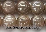 CMS2082 15 inches 10mm round AB-color moonstone beads