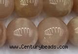 CMS2114 15 inches 11mm round moonstone beads