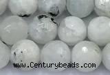 CMS2141 15 inches 8mm faceted round white moonstone beads