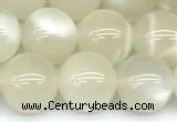 CMS2155 15 inches 10mm round white moonstone beads