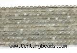 CMS2293 15 inches 4mm round grey moonstone beads wholesale