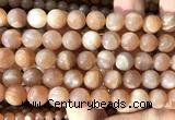 CMS2308 15 inches 10mm round moonstone gemstone beads