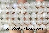 CMS2313 15 inches 10mm round white moonstone gemstone beads