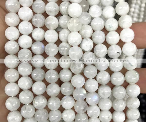 CMS2368 15 inches 8mm round white moonstone beads wholesale