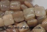 CMS29 15.5 inches 10*10mm square moonstone gemstone beads wholesale