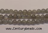 CMS300 15.5 inches 5mm round natural grey moonstone beads wholesale