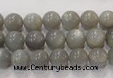 CMS305 15.5 inches 10mm round natural grey moonstone beads wholesale