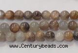 CMS310 15.5 inches 6mm round natural moonstone beads wholesale