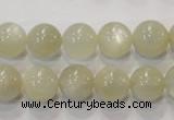 CMS313 15.5 inches 10mm round natural moonstone beads wholesale