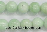 CMS406 15.5 inches 14mm round green moonstone beads wholesale