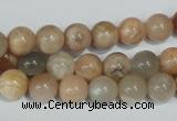 CMS503 15.5 inches 8mm round moonstone beads wholesale