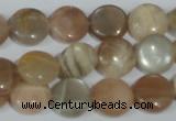 CMS521 15.5 inches 12mm flat round moonstone beads wholesale