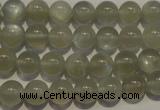 CMS652 15.5 inches 8mm round grey moonstone beads wholesale