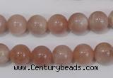 CMS754 15.5 inches 10mm round natural moonstone beads wholesale