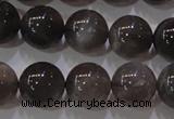 CMS853 15.5 inches 10mm round natural black moonstone beads