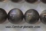 CMS861 15.5 inches 12mm round A grade natural black moonstone beads