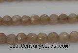 CMS940 15.5 inches 4mm faceted round A grade moonstone gemstone beads