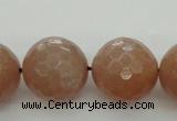 CMS946 15.5 inches 16mm faceted round A grade moonstone gemstone beads