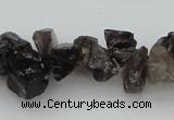 CNG1122 15.5 inches 8*12mm - 13*18mm nuggets smoky quartz beads