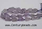 CNG1704 15.5 inches 15*20mm - 18*35mm nuggets amethyst beads