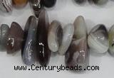 CNG316 15.5 inches 3*6mm - 5*22mm nuggets botswana agate beads