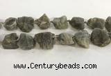 CNG3567 15.5 inches 18*20mm - 25*30mm nuggets rough labradorite beads