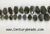 CNG3590 10*16mm - 15*30mm faceted nuggets labradorite beads