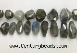 CNG3591 15*25mm - 25*35mm faceted nuggets labradorite beads