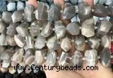 CNG3605 15.5 inches 13*20mm - 15*24mm faceted nuggets moonstone beads