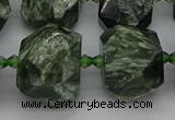 CNG5278 15.5 inches 13*18mm - 15*25mm faceted nuggets seraphinite beads