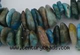 CNG5438 15.5 inches 3*10mm - 5*18mm nuggets apatite beads