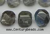 CNG5722 15.5 inches 12*16mm - 15*20mm faceted freeform labradorite beads